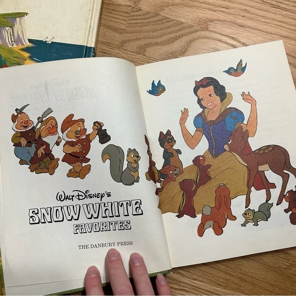 Disney vintage snow